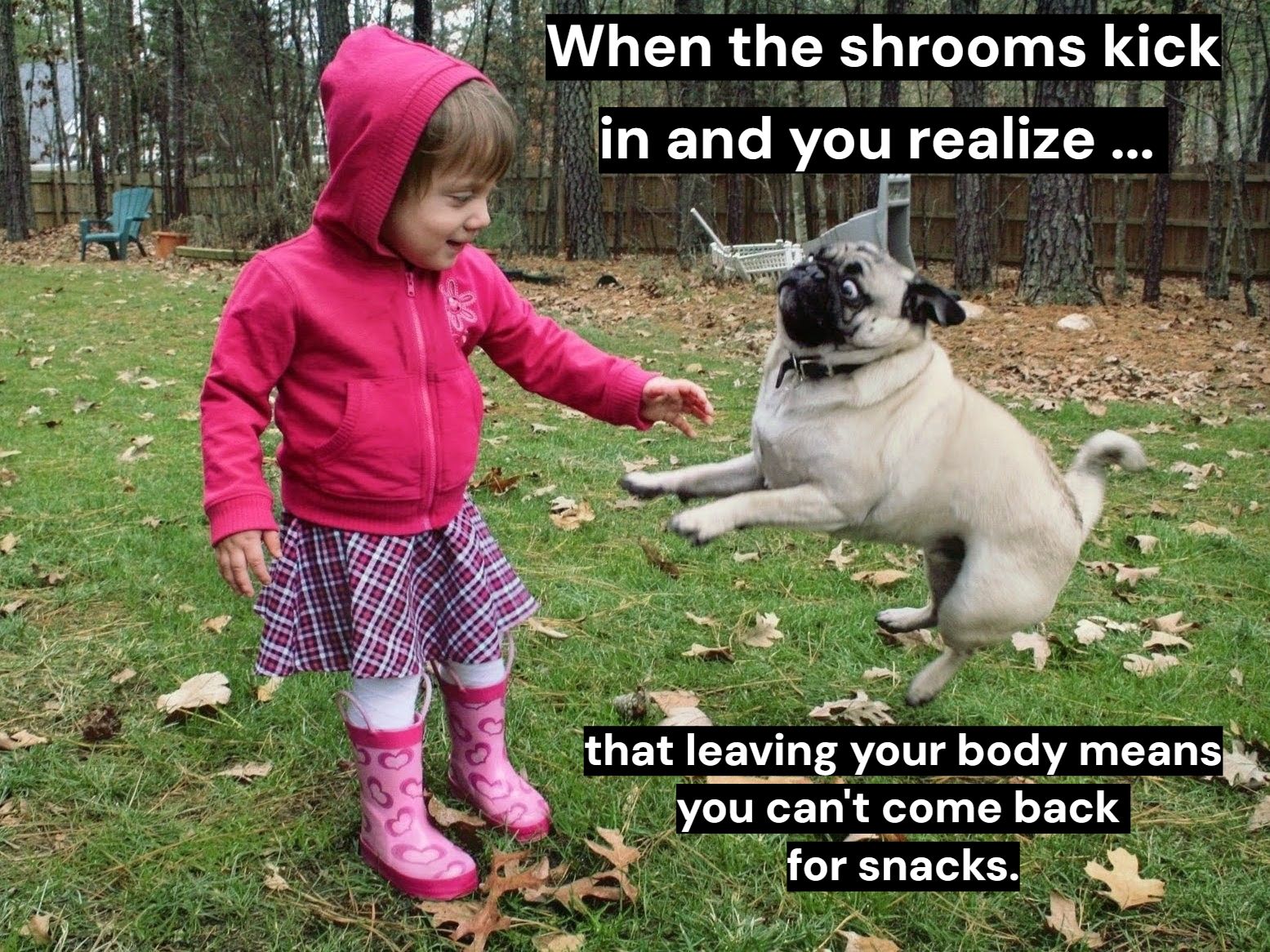 When the shrooms kick in and you realize that leaving your body means you can't come back for snacks.